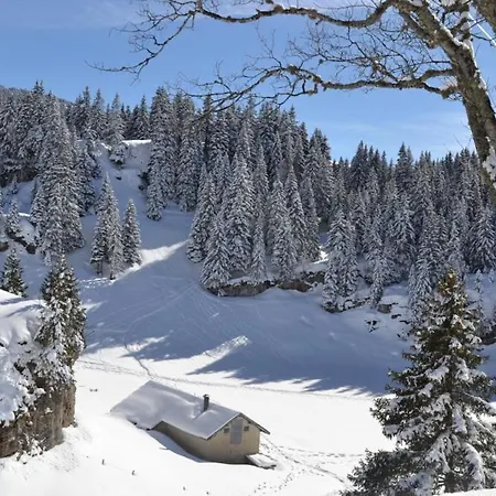 Chalet De La Hulotte *